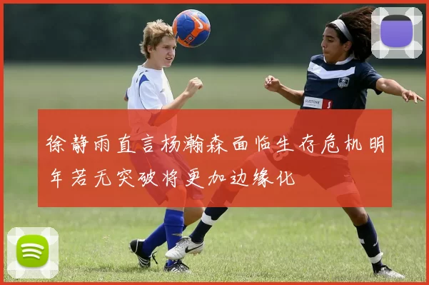 徐静雨直言杨瀚森面临生存危机明年若无突破将更加边缘化