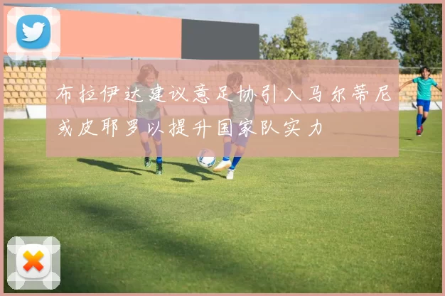布拉伊达建议意足协引入马尔蒂尼或皮耶罗以提升国家队实力