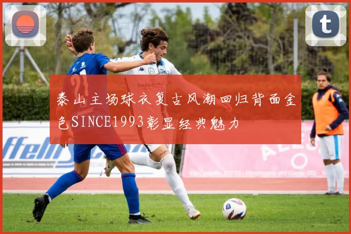 泰山主场球衣复古风潮回归背面金色SINCE1993彰显经典魅力