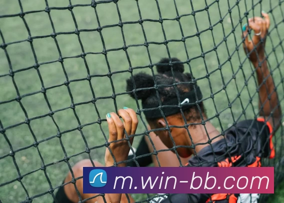 贝博体育平台生态图