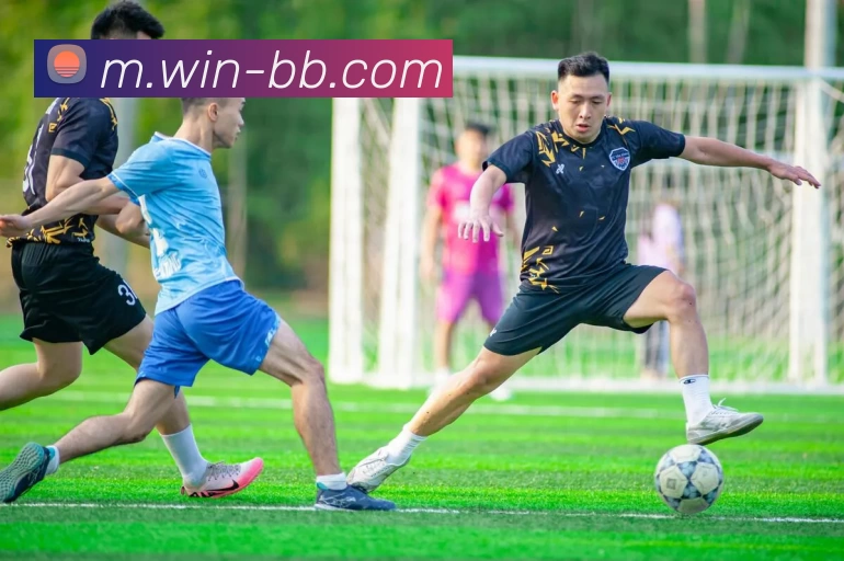 贝博体育全站App